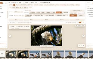 View of Main window in light color mode.