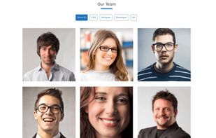 Probit WordPress Theme screenshot 1
