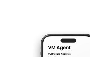 Visual Merchandising Agent