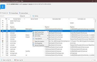 Process List Tab - Main Window