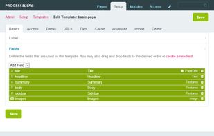 ProcessWire screenshot 3