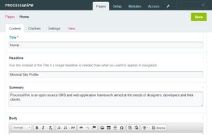 ProcessWire screenshot 1