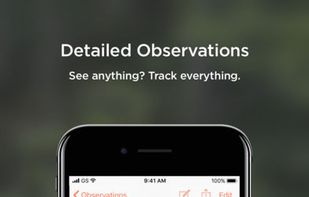 Procore screenshot 1