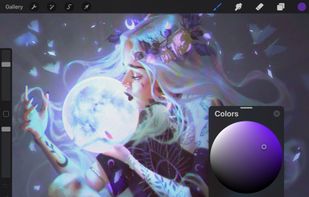 Procreate screenshot 2