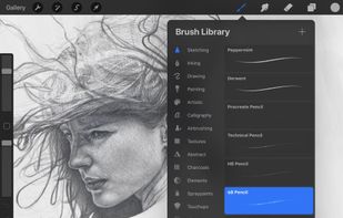 Procreate screenshot 1