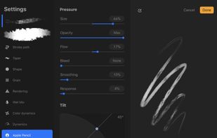 Procreate screenshot 3