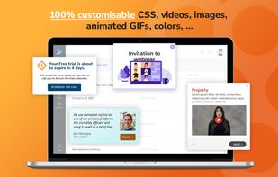 Customizable content, add videos, GIFs, images, TypeForm