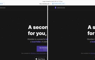 View website changes