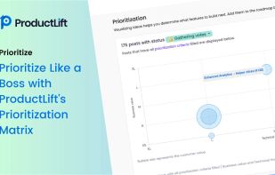 ProductLift screenshot 1