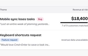 The dollar on a theme is a floor over matched customers. With no revenue data, it says so.