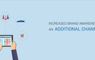 Productvoice.com screenshot 1