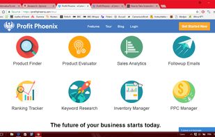 Profit Phoenix screenshot 1