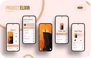 Project Elixir screenshot 1