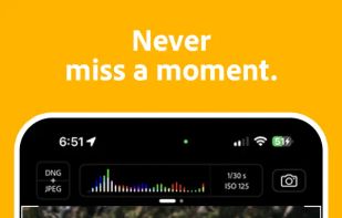 Project Indigo screenshot 1