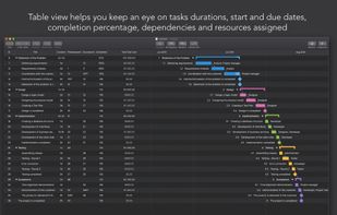 Project Office: Gantt chart screenshot 2