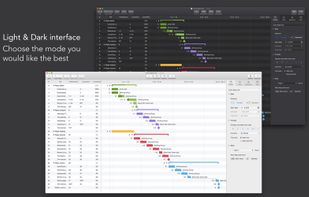 Project Office: Gantt chart screenshot 3