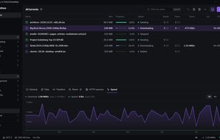The Detailed layout, with every status filter, categories, tags and a live speed graph.