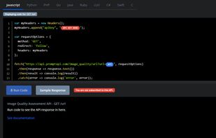 Prompt API screenshot 1