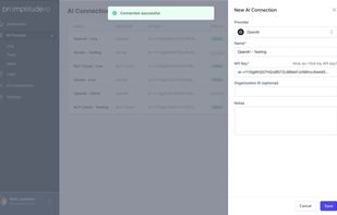 Paste your Provider API Key and create an AI connection to use Promptitude for requests.