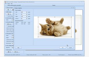 RonyaSoft Poster Printer screenshot 3