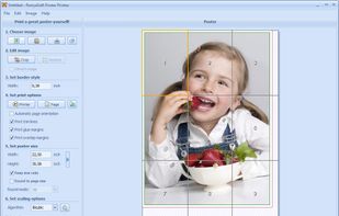 RonyaSoft Poster Printer screenshot 1