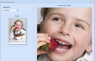 RonyaSoft Poster Printer screenshot 1