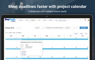 ProProfs Project screenshot 2