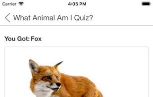 ProProfs Quizzes screenshot 2