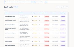 Review structured lead data including business name, location, rating, reviews, website status, phone number and opportunity level, with CSV export.