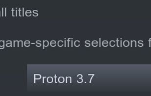 Proton screenshot 1