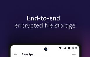 Proton Drive screenshot 3