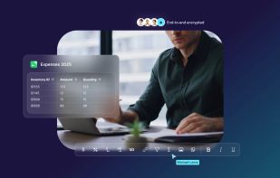 Proton Sheets screenshot 1