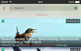 ProTube screenshot 3