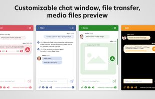 Customizable chat window