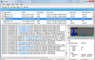 Proxifier screenshot 3