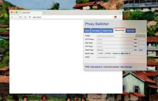 Proxy Switcher (WebExtension) screenshot 1