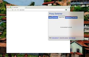 Proxy Switcher (WebExtension) screenshot 1