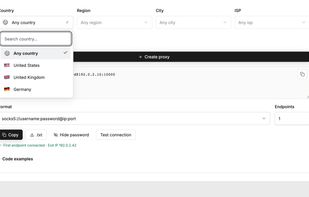 Choose the country for a residential proxy connection. Demonstration data.