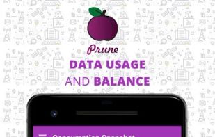 Data Usage and Balance