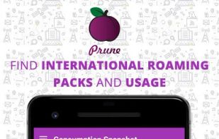 Find International Roaming Usage and Packs