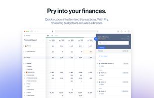 Pry Financials screenshot 1