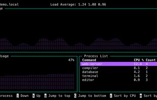 ptop with dotted CPU and memory graphs and grouped process list. Synthetic demonstration data.