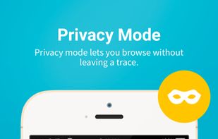 Puffin Web Browser Pro screenshot 2