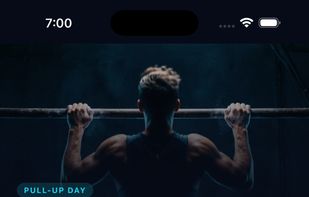Pull Up Day screenshot 1