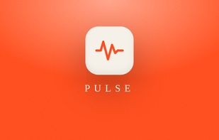 Pulse eliminates the hidden cost of team coordination. Free for teams up to 5. Set up in under 2 minutes. Works alongside Slack and WhatsApp.