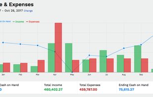 The Income & Expenses Report takes that information and gives you the blue Pulseline© that illustrates how much and when cash is flowing in and out of your business. 