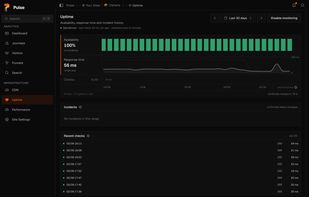 Uptime monitoring: availability, response time and incident history