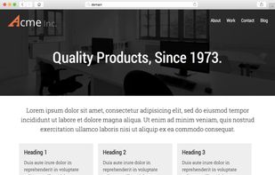 Pulse CMS screenshot 2
