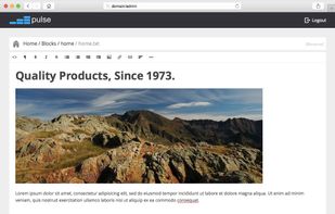 Pulse CMS screenshot 3