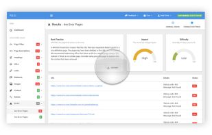 Pulse Site Auditor screenshot 2